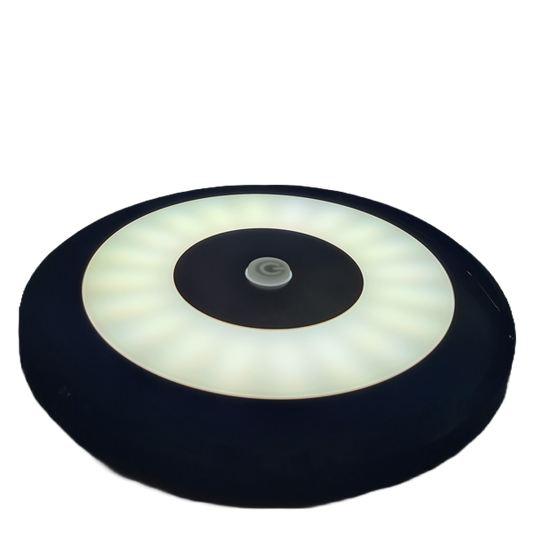 Flex Interior LED light