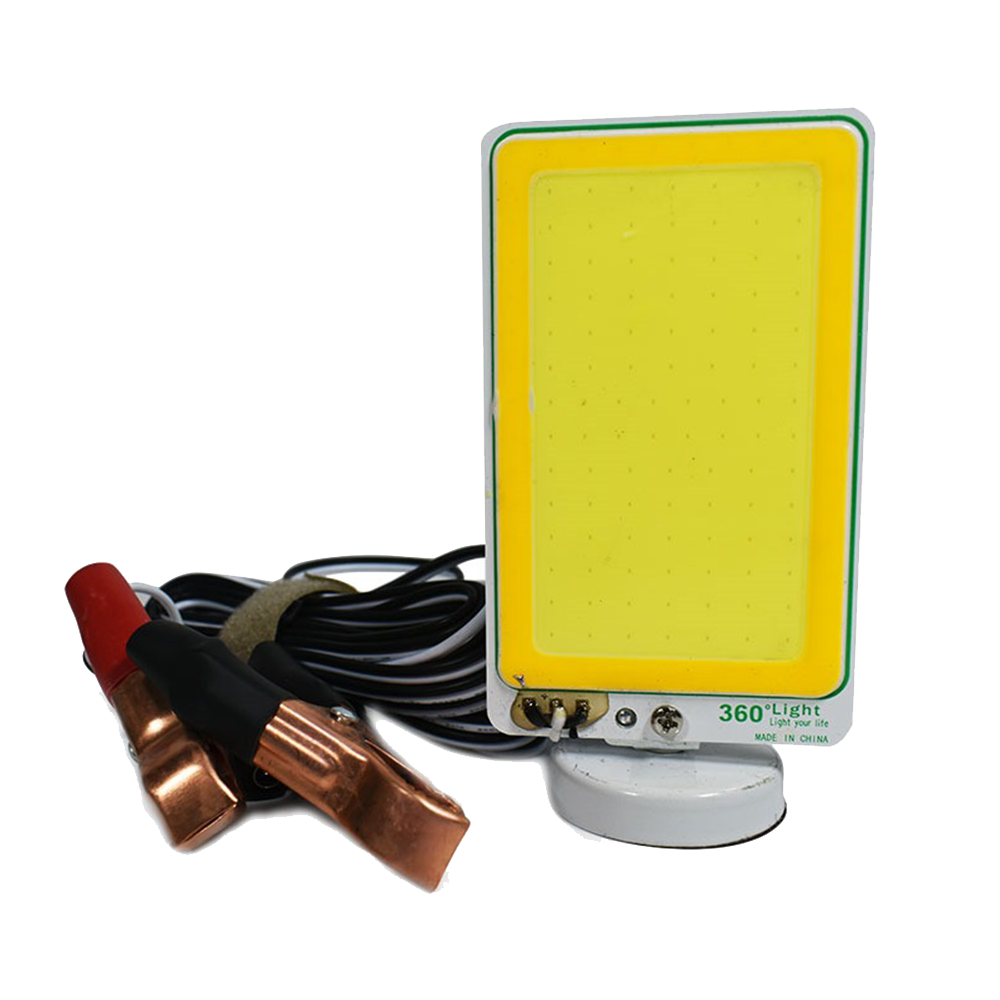 Roamer Magnetic Outdoor Light 12V 20W