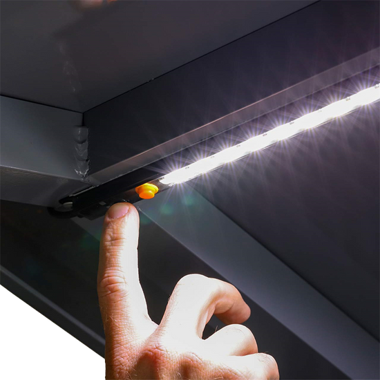 Flex 600 mm White & Red 12V LED Light