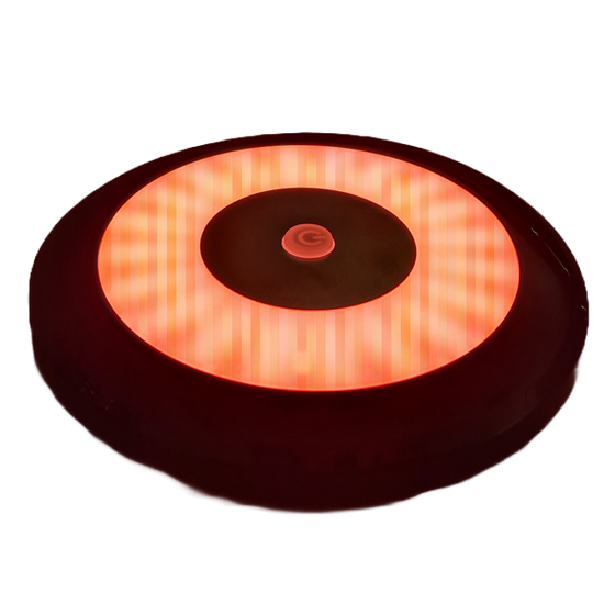 Flex 12V Interior LED Light (White & Red) Dimmable