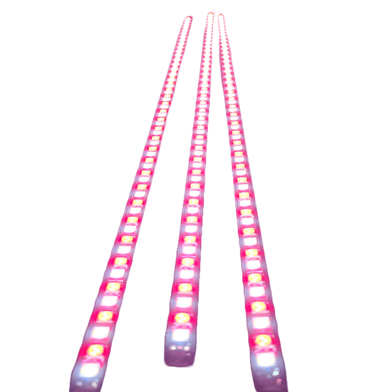 Flex 3-Light LED Awning Kit — Waterproof Outdoor Camping & 4x4 Lighting System