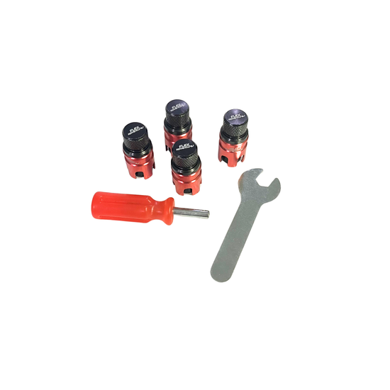Flex Rapid Connect Valve